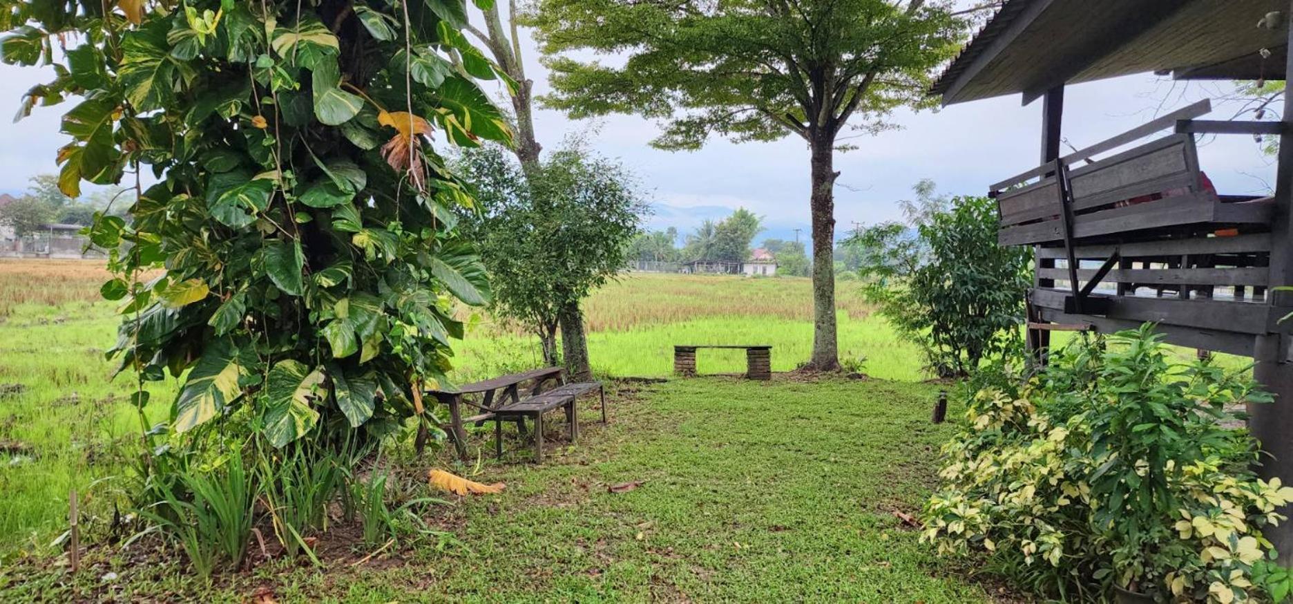 Tung Tong Homestay & Camping Mae Rim Ngoại thất bức ảnh