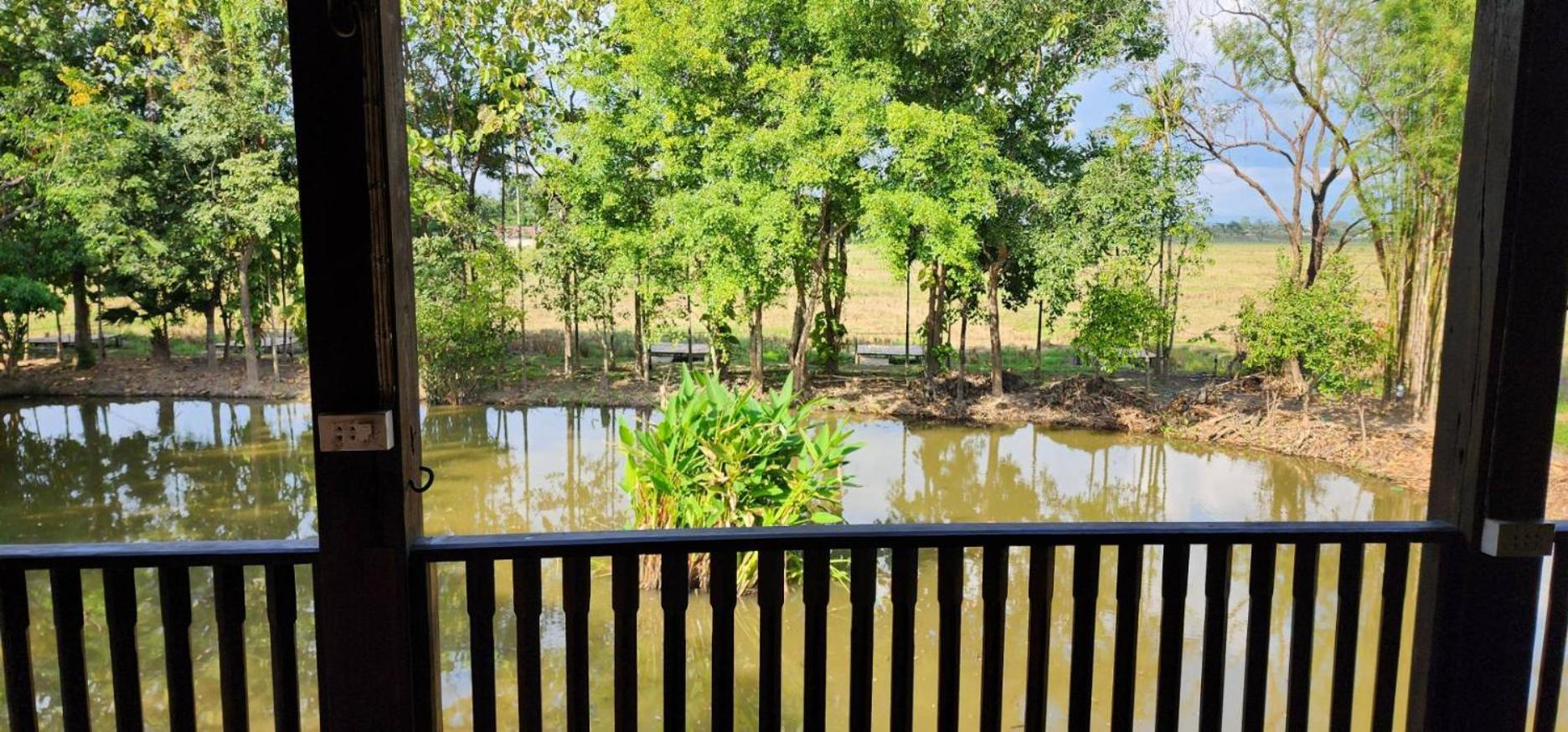 Tung Tong Homestay & Camping Mae Rim Ngoại thất bức ảnh