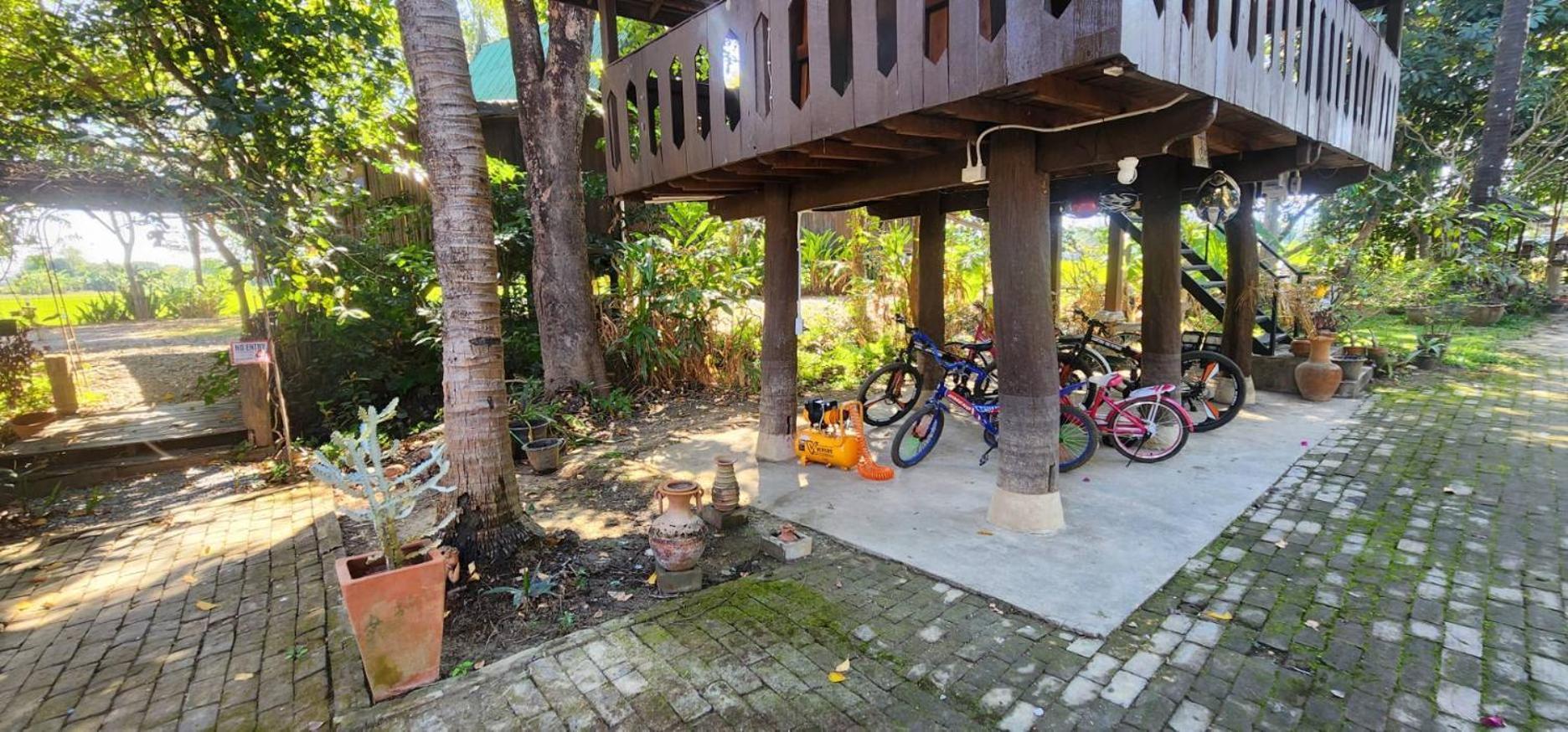 Tung Tong Homestay & Camping Mae Rim Ngoại thất bức ảnh