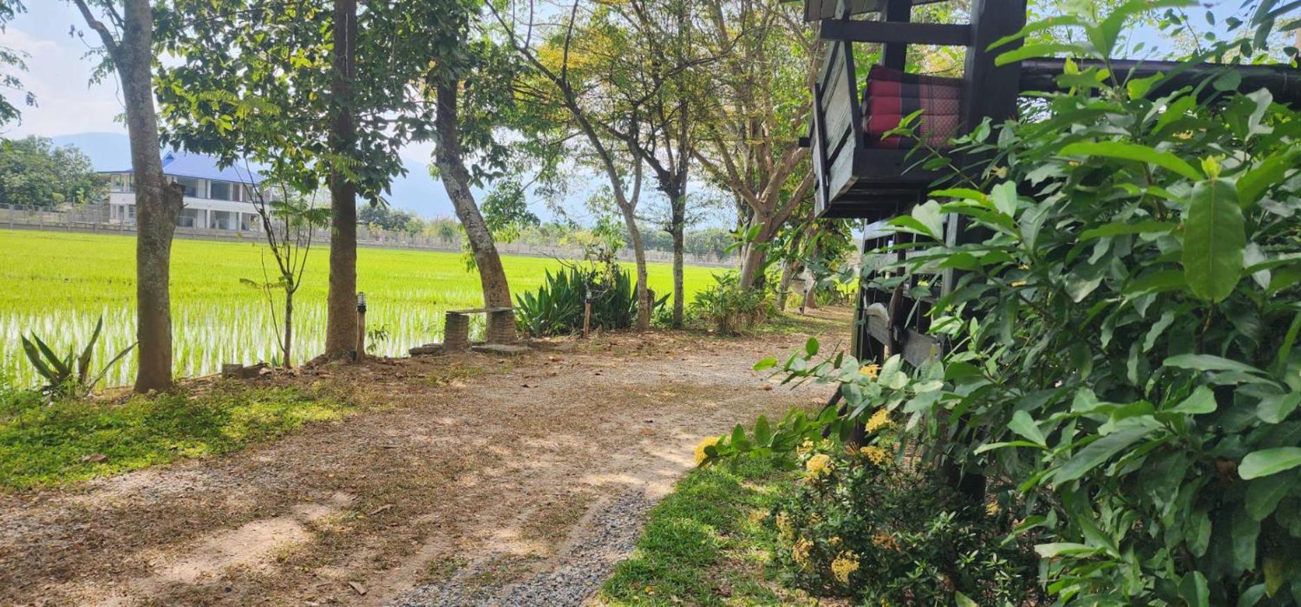 Tung Tong Homestay & Camping Mae Rim Ngoại thất bức ảnh