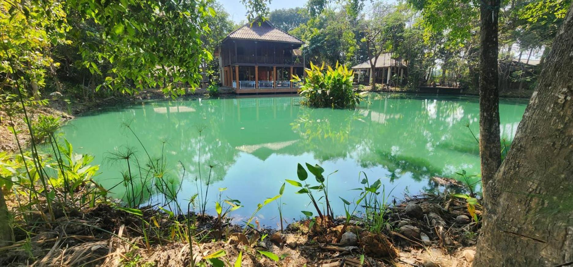 Tung Tong Homestay & Camping Mae Rim Ngoại thất bức ảnh