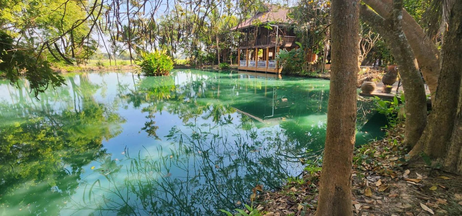 Tung Tong Homestay & Camping Mae Rim Ngoại thất bức ảnh