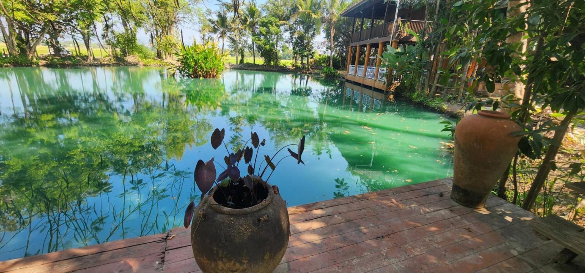 Tung Tong Homestay & Camping Mae Rim Ngoại thất bức ảnh