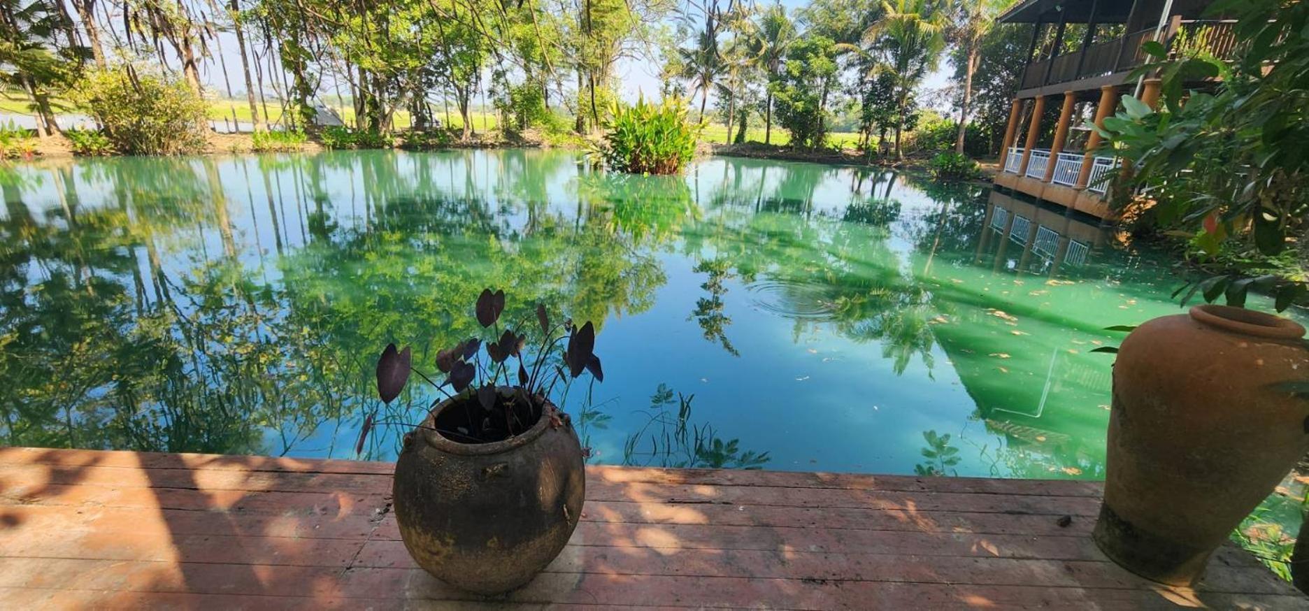 Tung Tong Homestay & Camping Mae Rim Ngoại thất bức ảnh