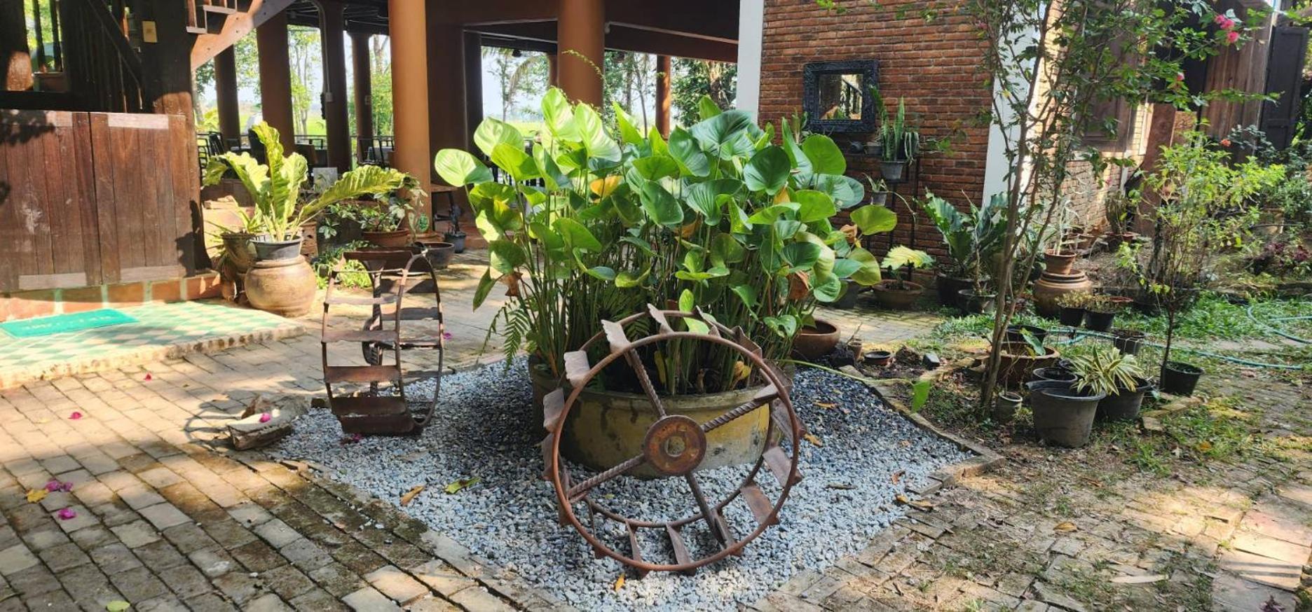 Tung Tong Homestay & Camping Mae Rim Ngoại thất bức ảnh