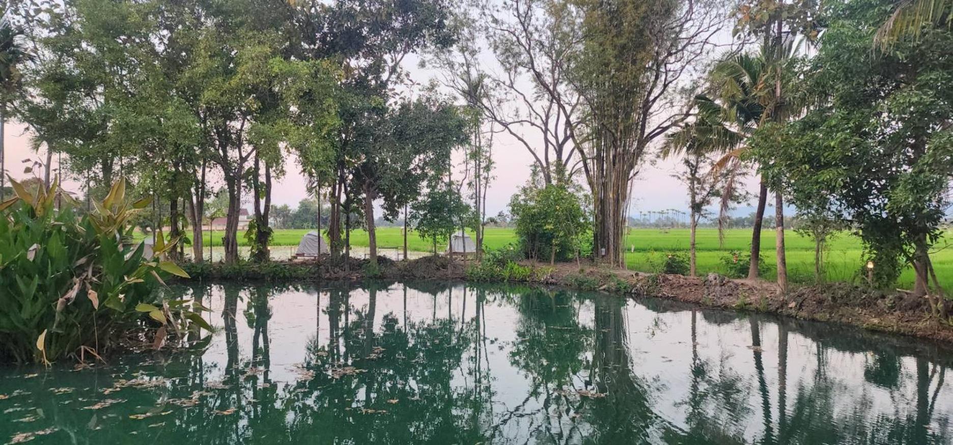 Tung Tong Homestay & Camping Mae Rim Ngoại thất bức ảnh