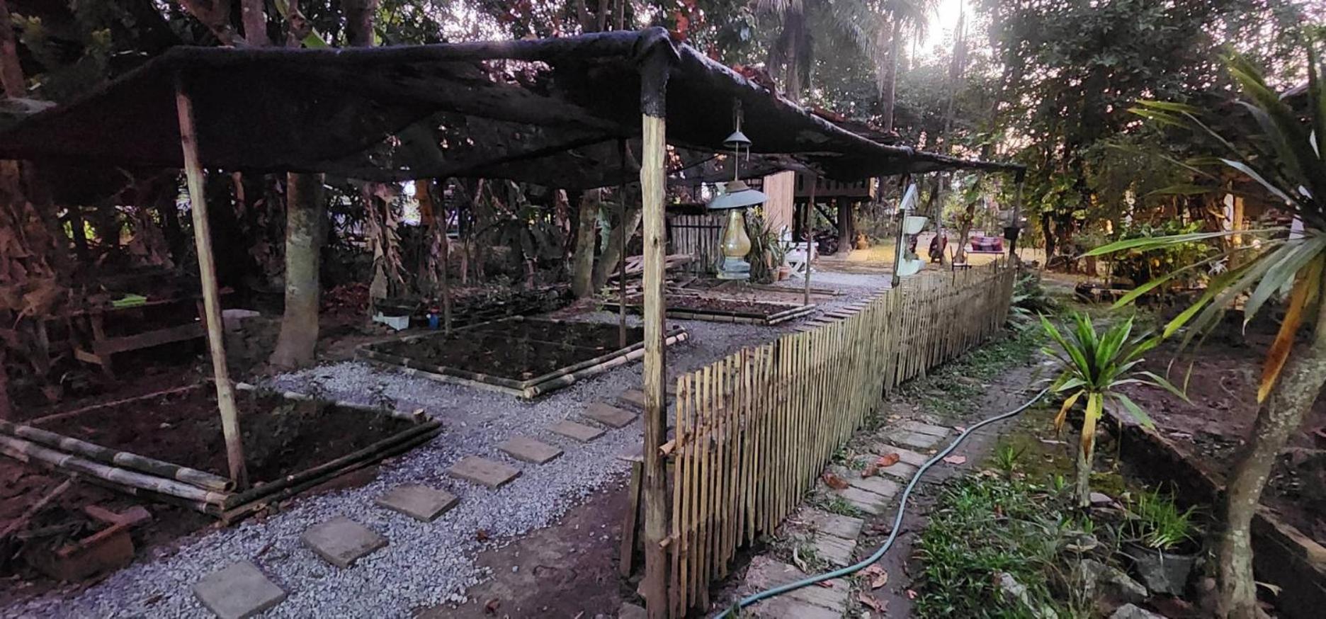 Tung Tong Homestay & Camping Mae Rim Ngoại thất bức ảnh