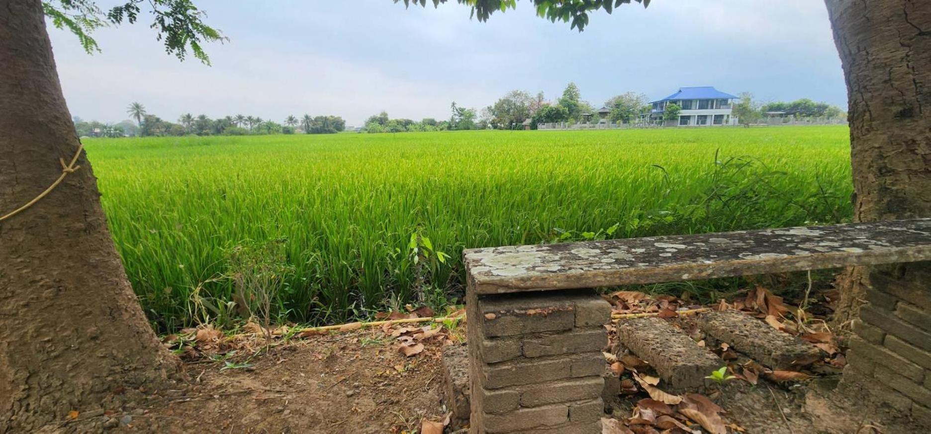 Tung Tong Homestay & Camping Mae Rim Ngoại thất bức ảnh