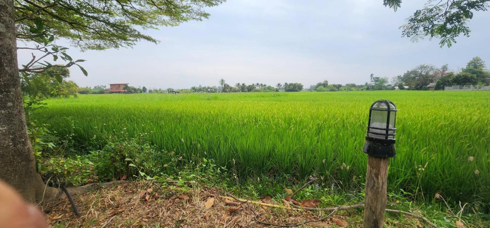 Tung Tong Homestay & Camping Mae Rim Ngoại thất bức ảnh
