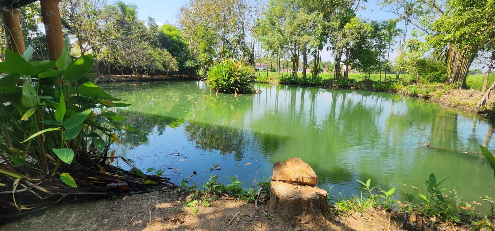 Tung Tong Homestay & Camping Mae Rim Ngoại thất bức ảnh