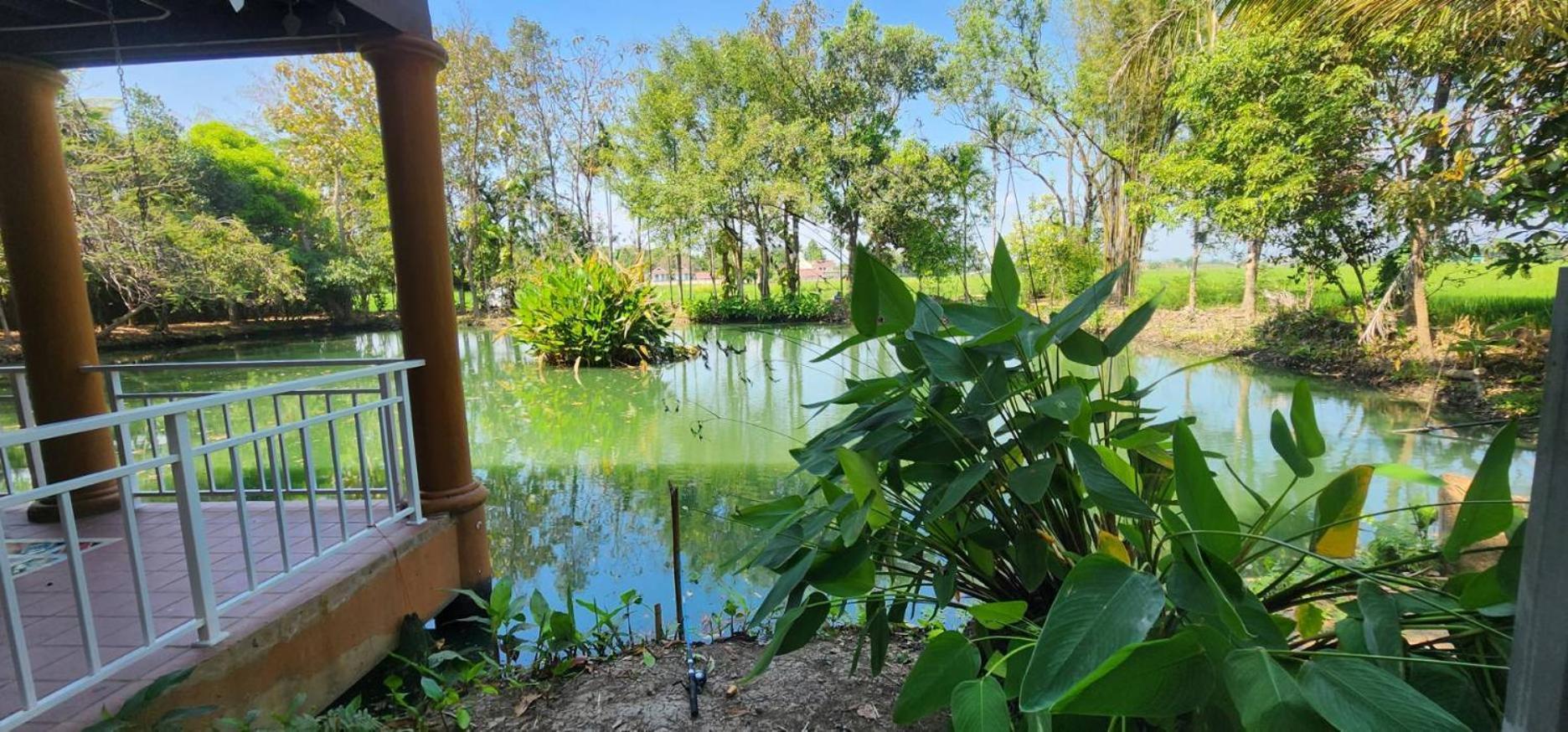 Tung Tong Homestay & Camping Mae Rim Ngoại thất bức ảnh