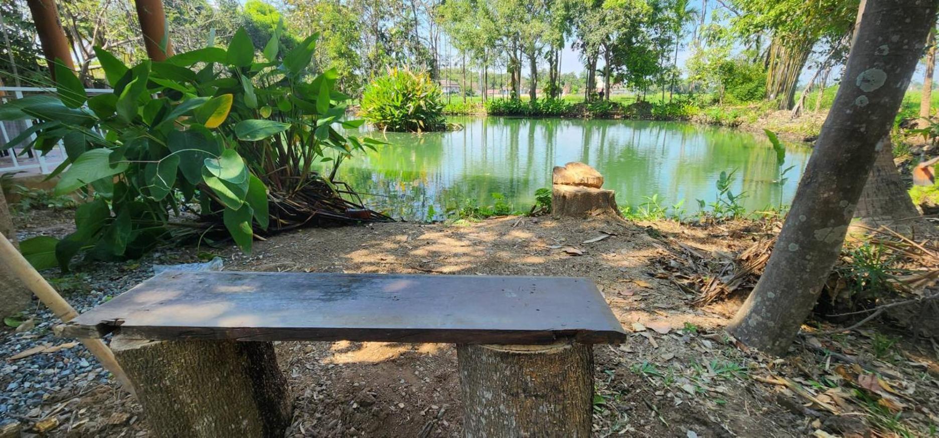 Tung Tong Homestay & Camping Mae Rim Ngoại thất bức ảnh