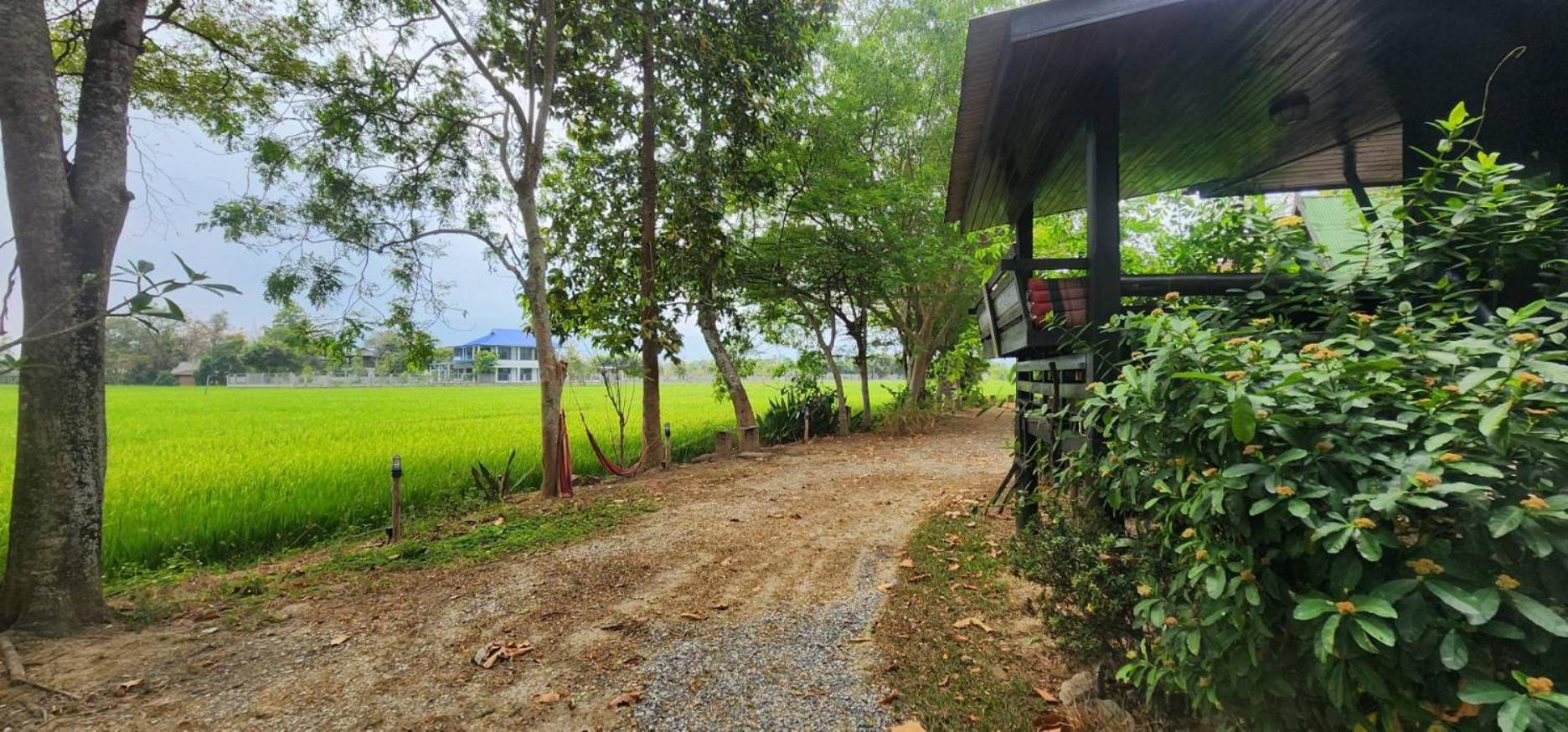 Tung Tong Homestay & Camping Mae Rim Ngoại thất bức ảnh