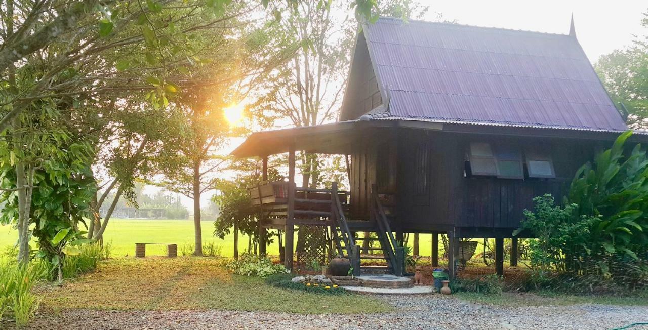 Tung Tong Homestay & Camping Mae Rim Ngoại thất bức ảnh